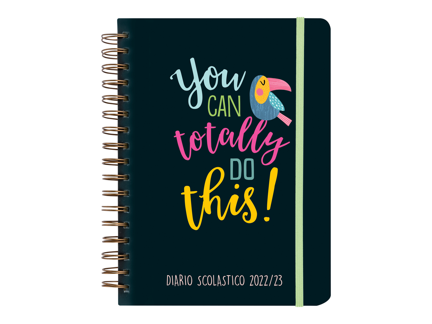 Agenda o diario scolastico Fsc_bianco, prezzo 5.99 €
- Da Agosto 2022 ...