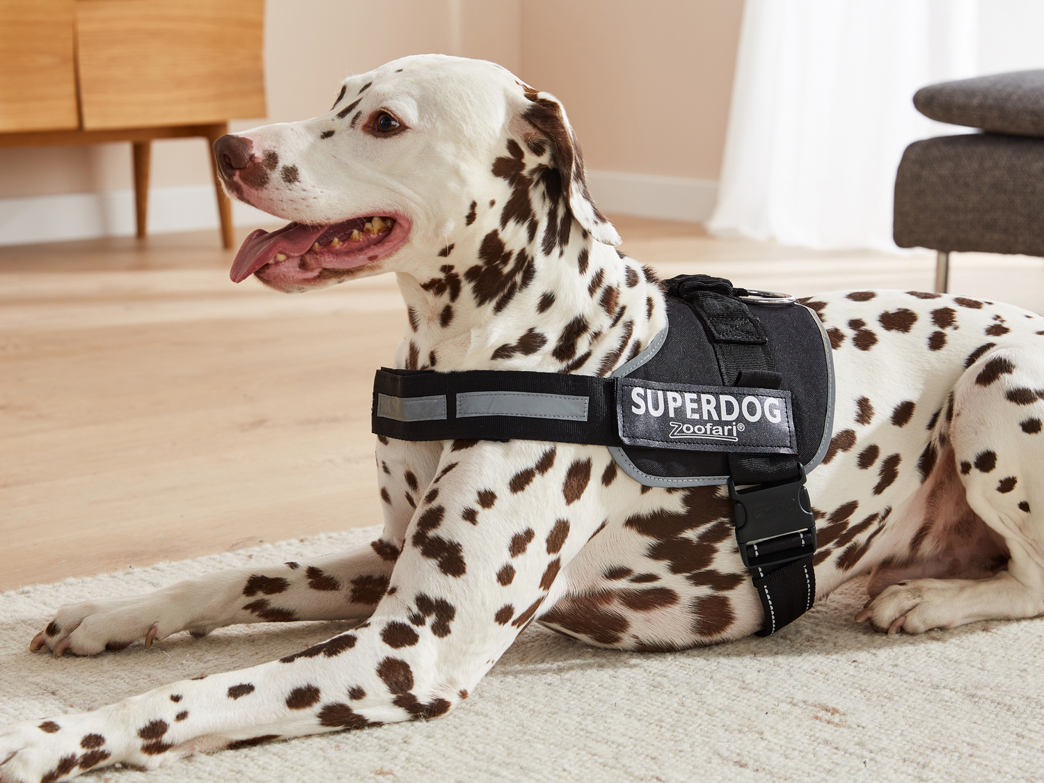 Pettorina per cani Zoofari, prezzo 8.99 €
- Con elementi riflettenti ...