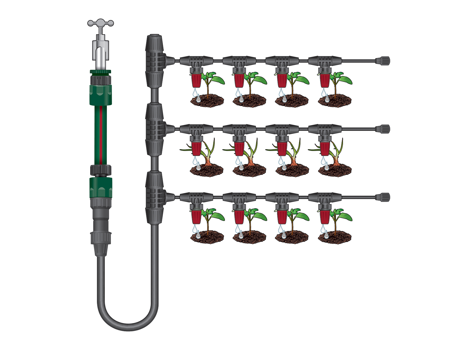 Set ampliamento per irrigazione a goccia Parkside, prezzo 9.99 &#8364; 
- Click ...