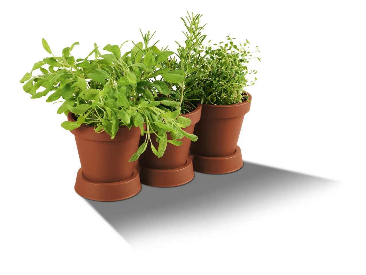 Vaso triplo per piante , prezzo 3.99 EUR 
Vaso triplo per piante 
- 100% plastica ...