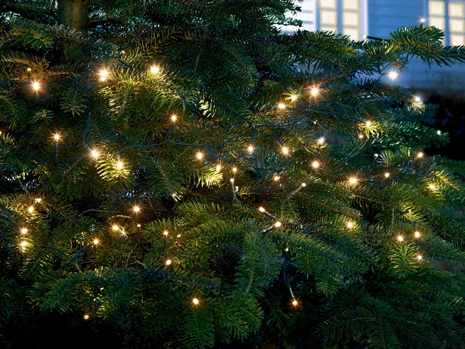 Catena luminosa LED Melinera, le prix 9.99 €
- Per ambienti interni ...