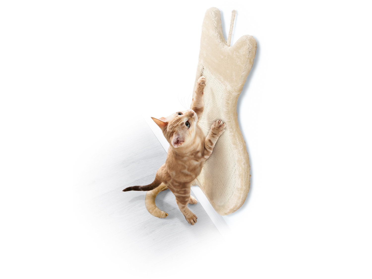 Tavoletta tiragraffi per gatti Zoofari, prezzo 12.99 €
- Combinazione di sisal ...