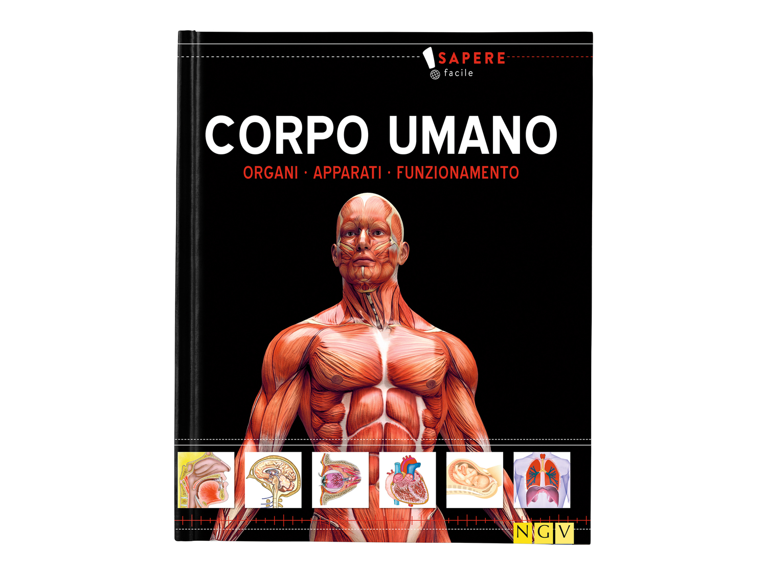 Libro educativo per bambini , prezzo 3.99 &#8364;