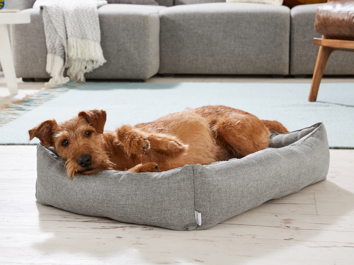 Cuccia per cani Zoofari, prezzo 12.99 €
- 68 x 23 x 52 cm / 68 x 16 x 52 cm
Caratteristiche
- ...