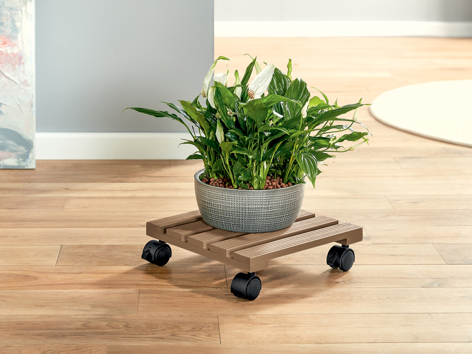 Portavaso con rotelle Livarno Living, prezzo 4.99 €
- Scorrevoli rotelle ...