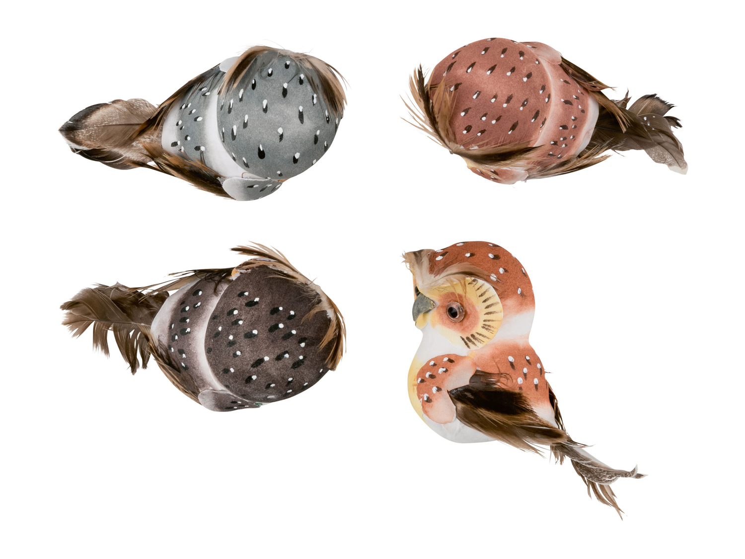 Decorazioni con clip Melinera, prezzo 3.99 €
6 o 4 pezzi
Caratteristiche