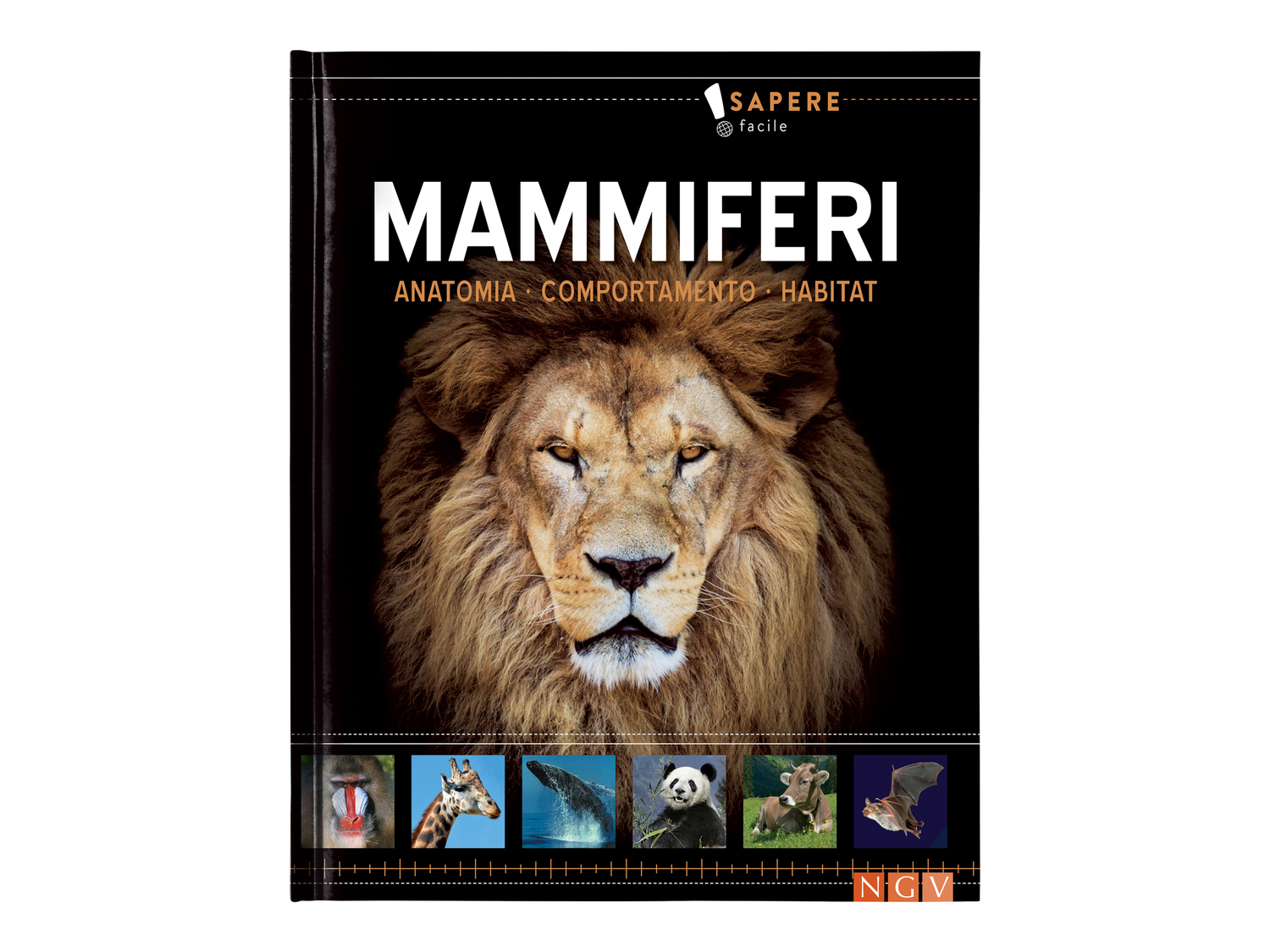 Libro educativo per bambini Fsc, prezzo 3.99 &#8364;  

Caratteristiche