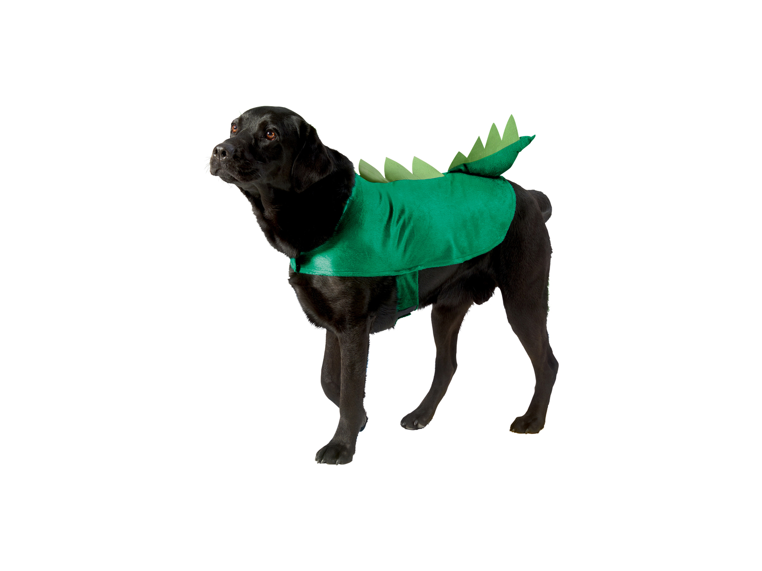 Costume per cani , prezzo 6.99 €
Misure: XS-L