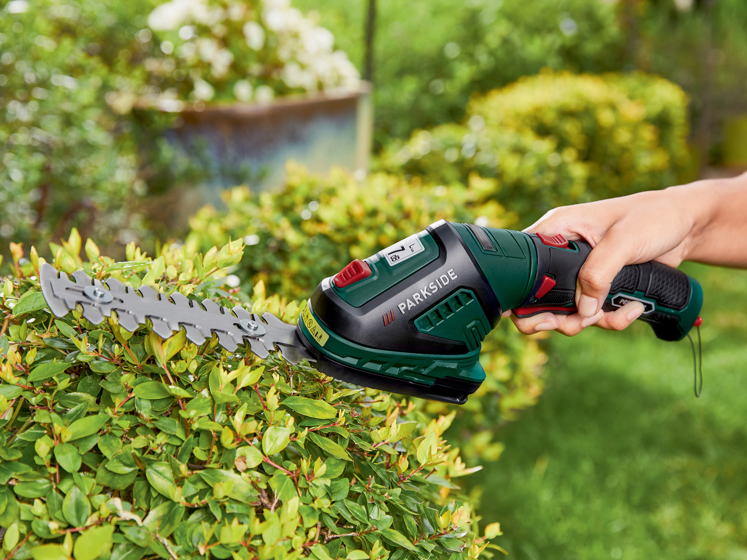 Cesoia ricaricabile per erba e cespugli Parkside PGSA 4 A2, prezzo 14.99 €
- ...