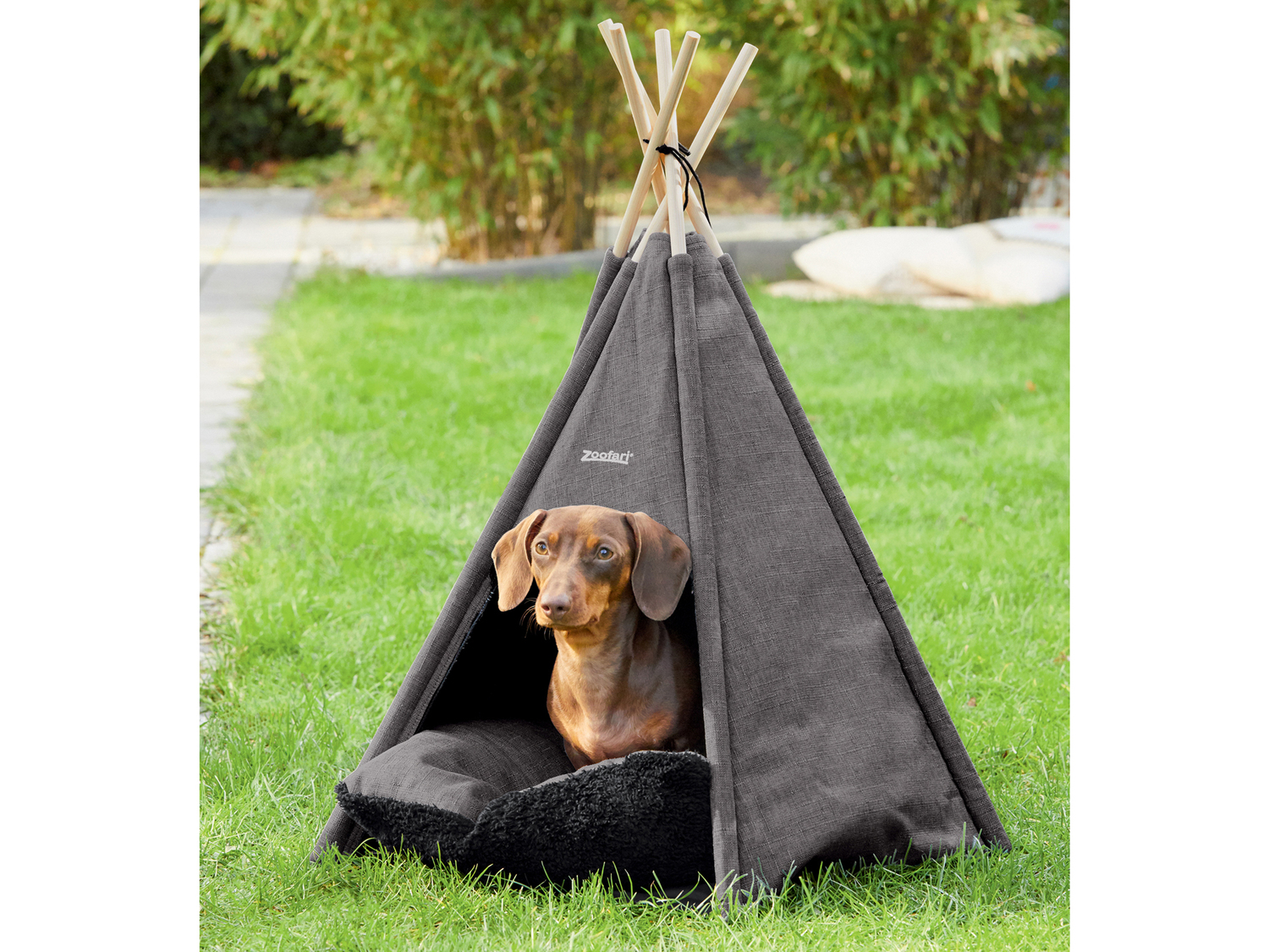 Tenda per animali domestici o casetta gioco per gatti Zoofari, prezzo 19.99 € ...