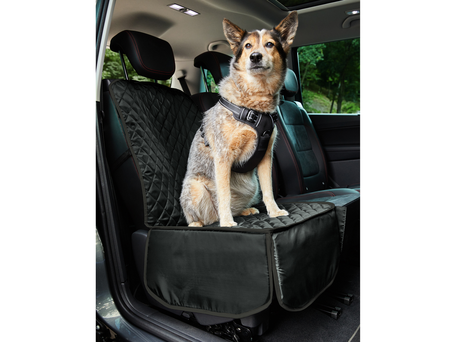 Coprisedile o telo per sedile per auto per animali Zoofari, prezzo 11.99 € ...