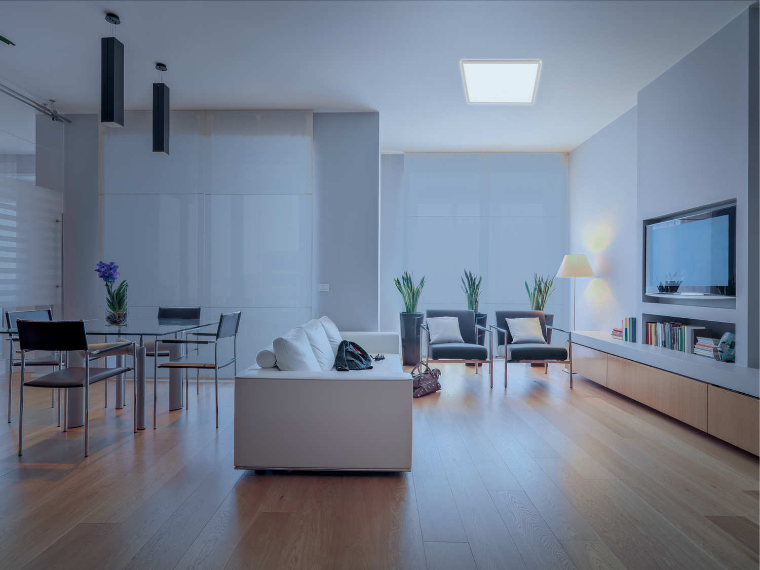 Lampada LED da soffitto smart Livarno, prezzo 34.99 €
- Compatibile con ...