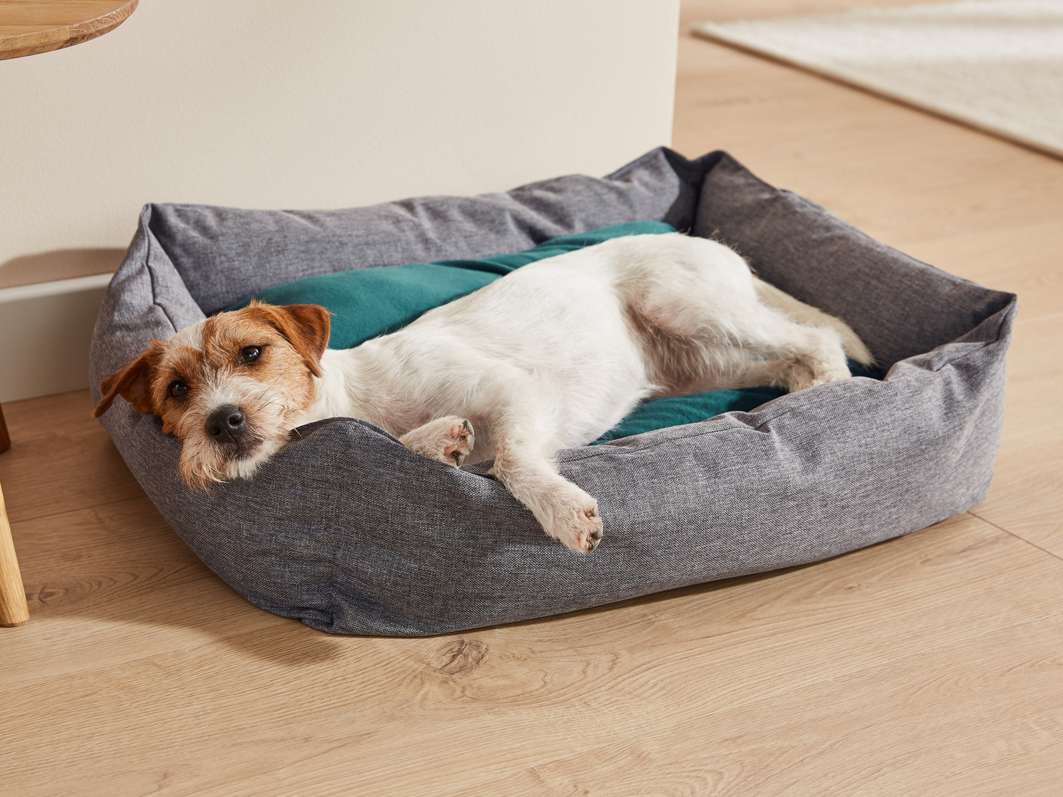 Cuccia o poltrona pensile per animali Zoofari, prezzo 17.99 €
- Con cuscino ...
