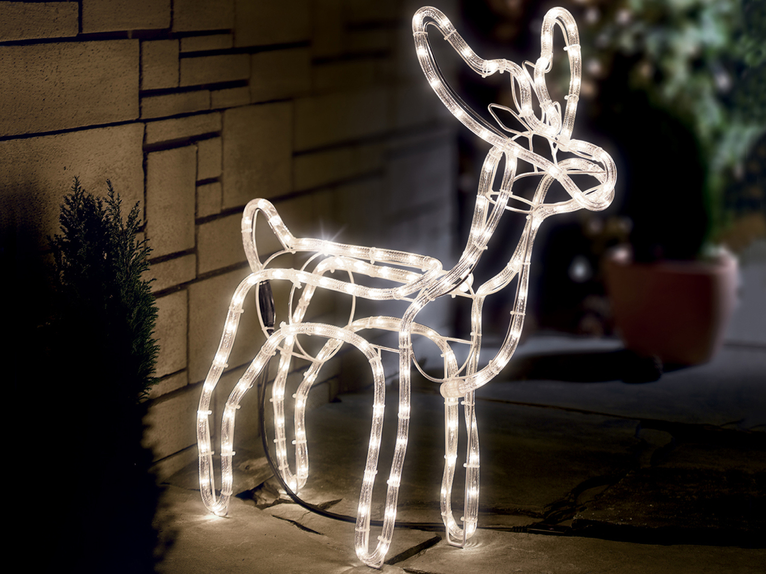 Decorazione natalizia 3D Livarno, prezzo 39.99 €
- Luce bianca calda
- ...