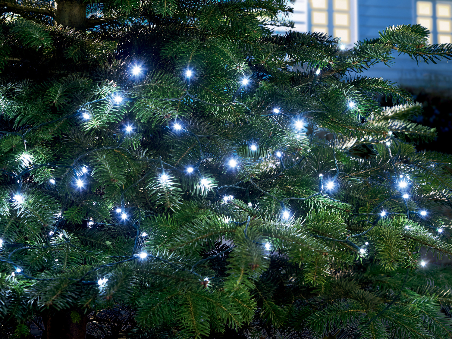 Catena luminosa LED Melinera, le prix 9.99 €
- Per ambienti interni ...
