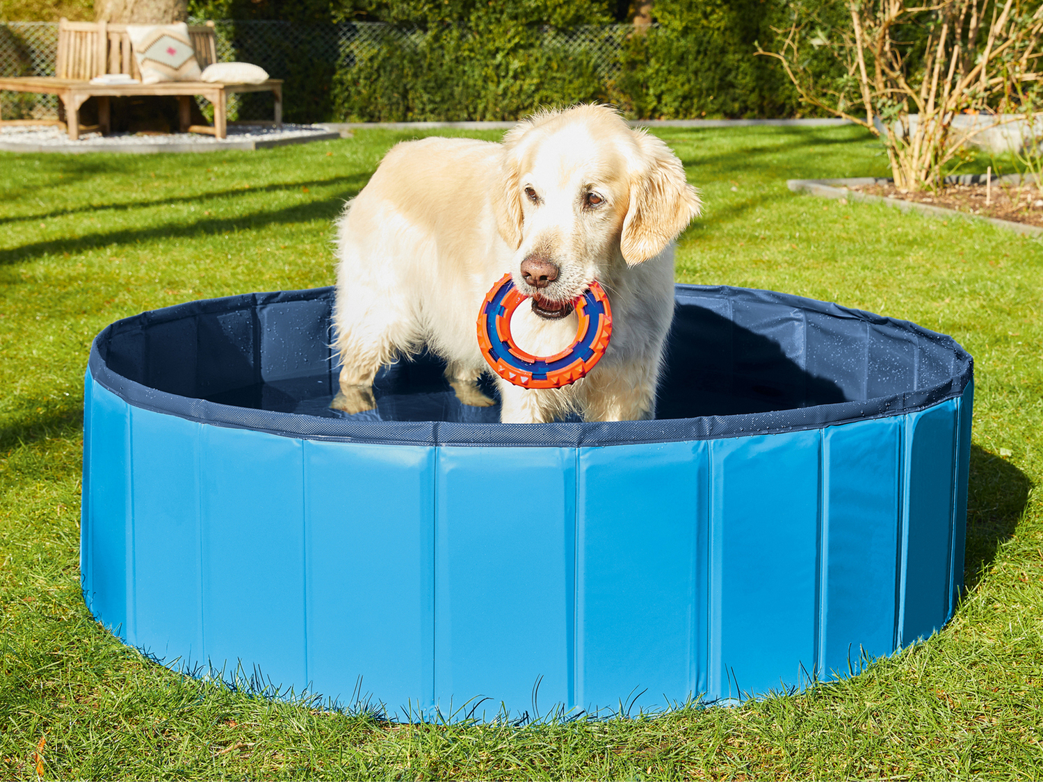 Piscina per cani Zoofari, prezzo 39.99 €
- Con fondo antiscivolo
- Apertura ...