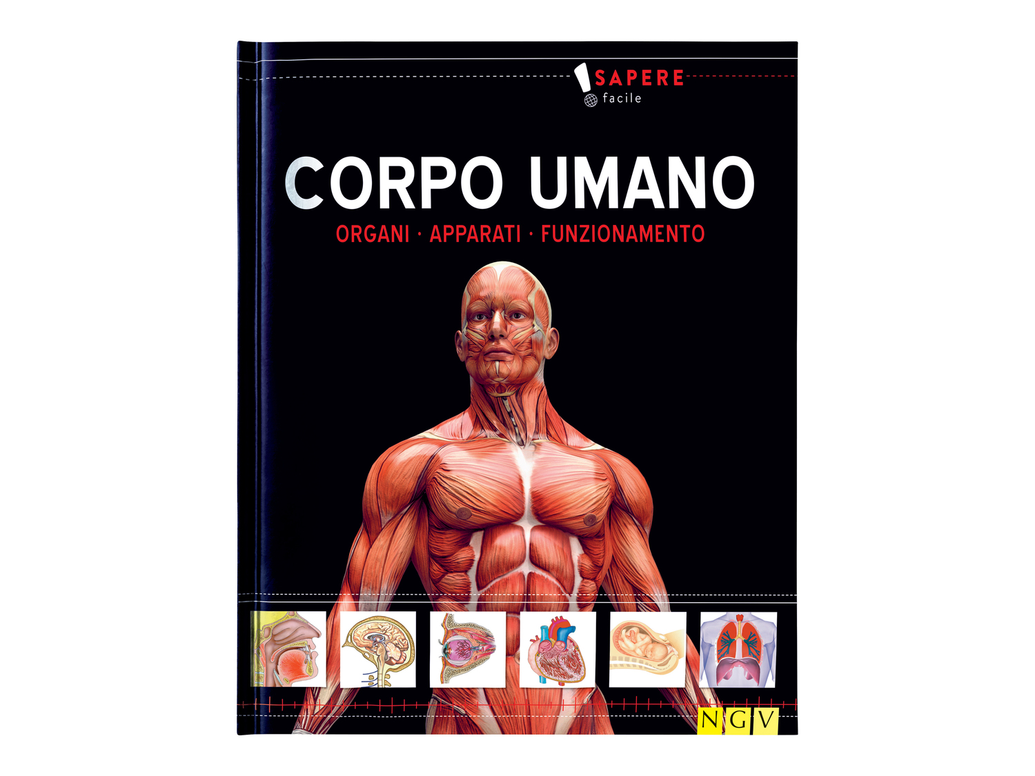 Libro educativo per bambini Fsc, prezzo 3.99 &#8364;  

Caratteristiche