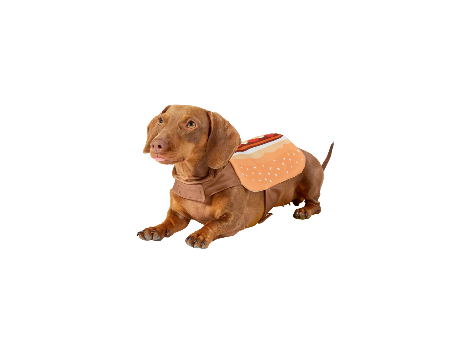 Costume per cani , prezzo 6.99 €
Misure: XS-L