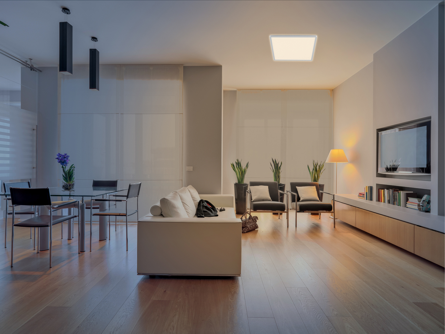 Lampada LED da soffitto smart Livarno, prezzo 34.99 €
- Compatibile con ...
