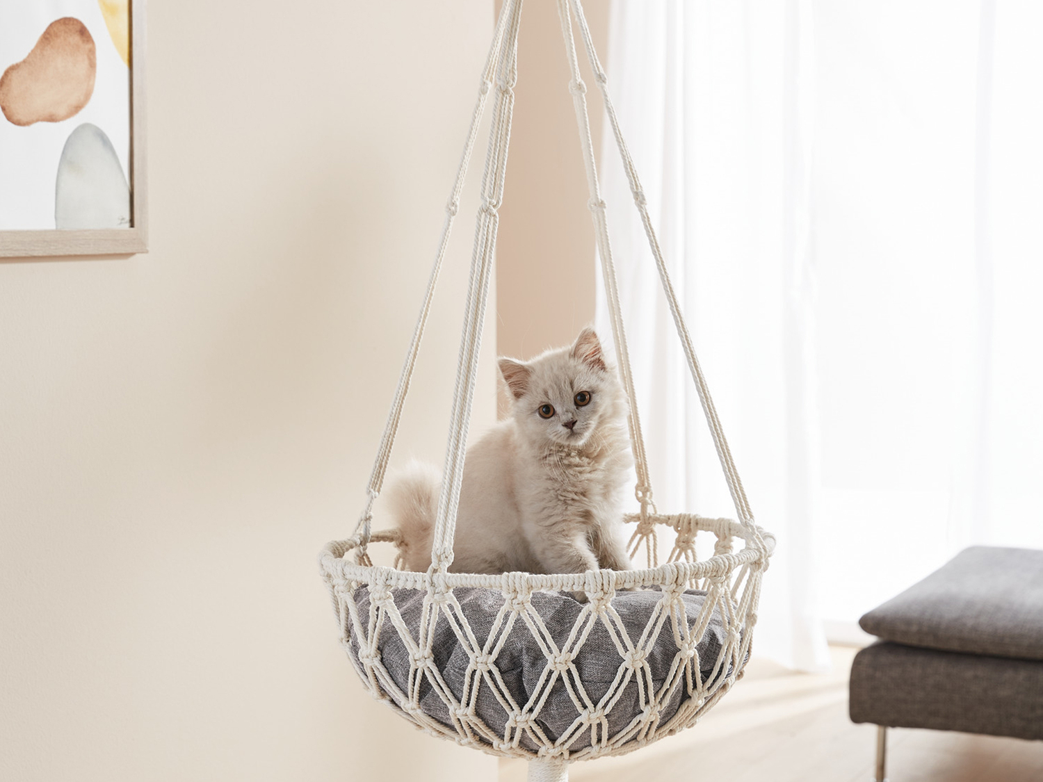 Cuccia o poltrona pensile per animali Zoofari, prezzo 17.99 €
- Con cuscino ...