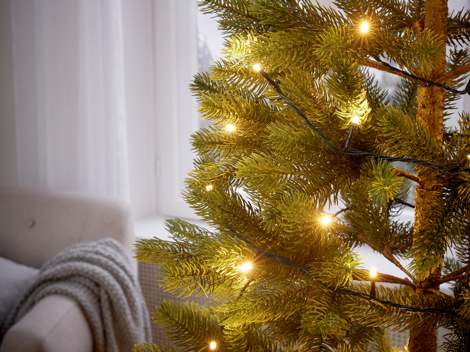 Catena luminosa 180 o 200 LED Livarno, prezzo 14.99 €
- Per ambienti ...