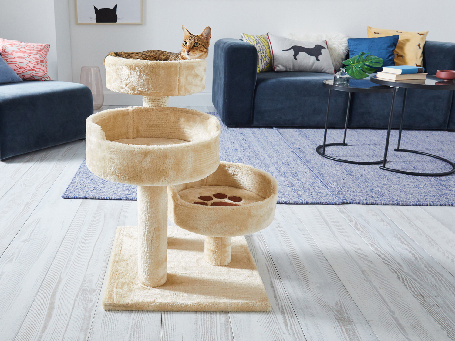Tiragraffi a torre per gatti Zoofari, prezzo 39.99 €
- Dimensione cestelli:
- ...