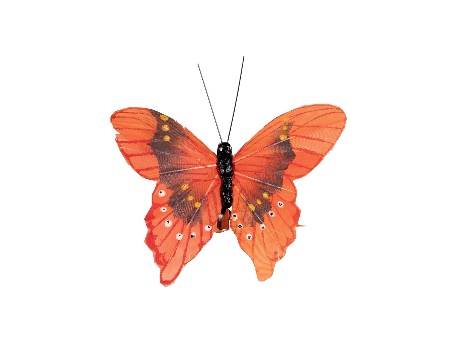 Clip decorative Melinera, prezzo 3.99 €
6 pezzi
Caratteristiche