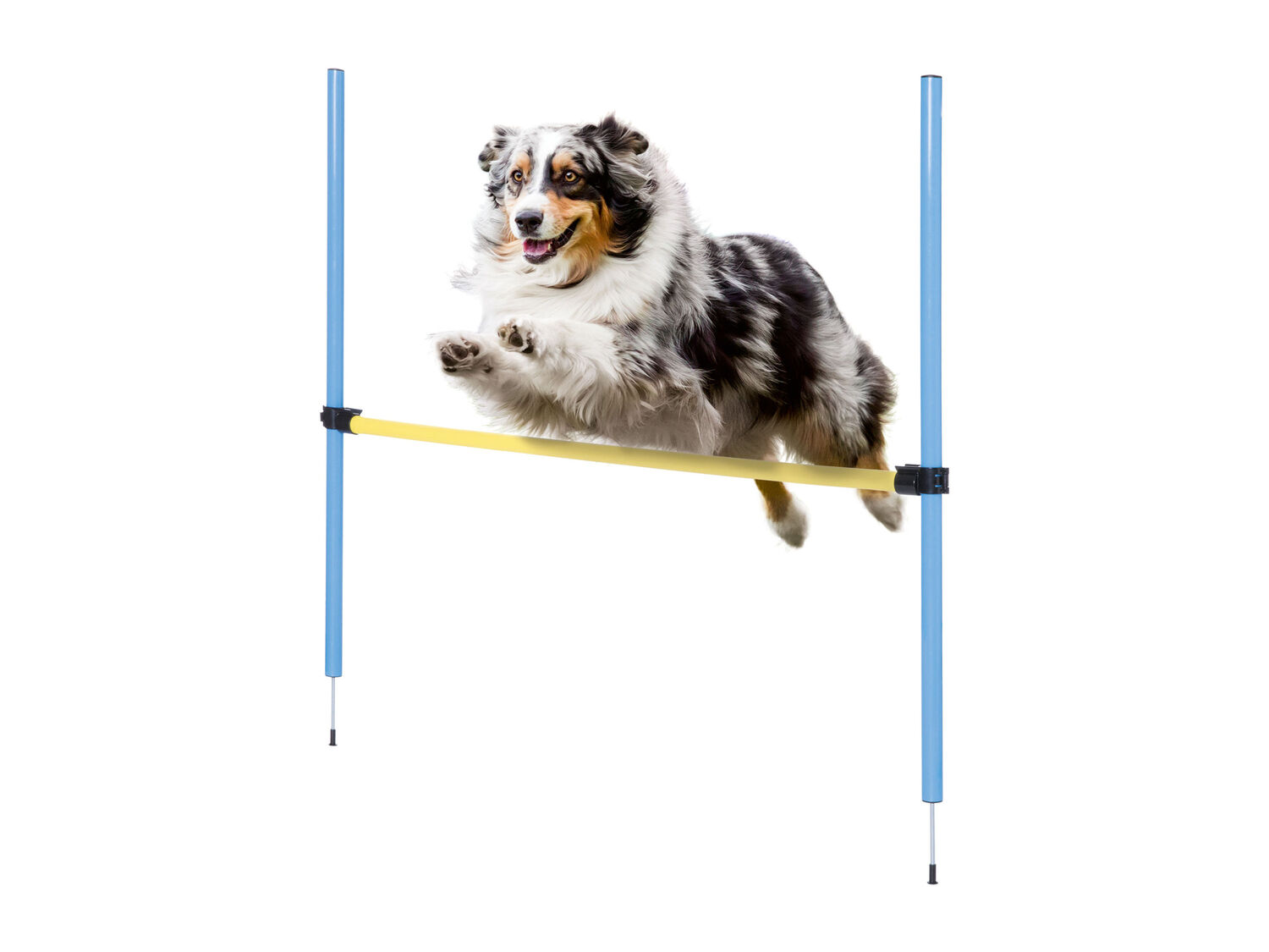 Attrezzi per agility Zoofari, prezzo 19.99 €
- Per un programma vario ...