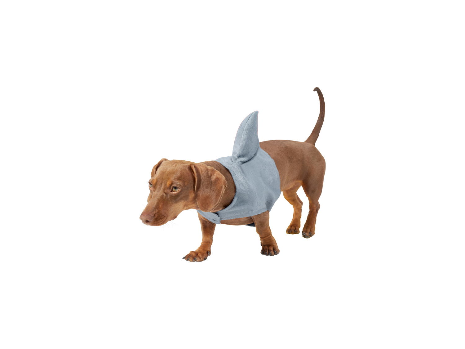Costume per cani , prezzo 6.99 €
Misure: XS-L