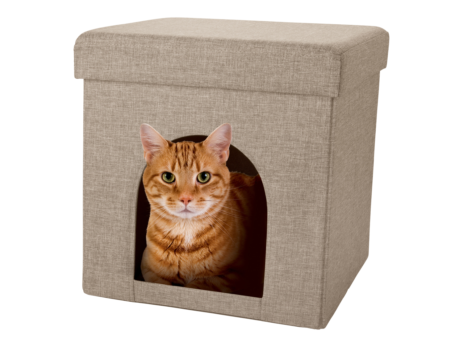 Pouf con cuccia per gatti Zoofari, prezzo 12.99 €
- 37,5 x 38 x 37,5 ...