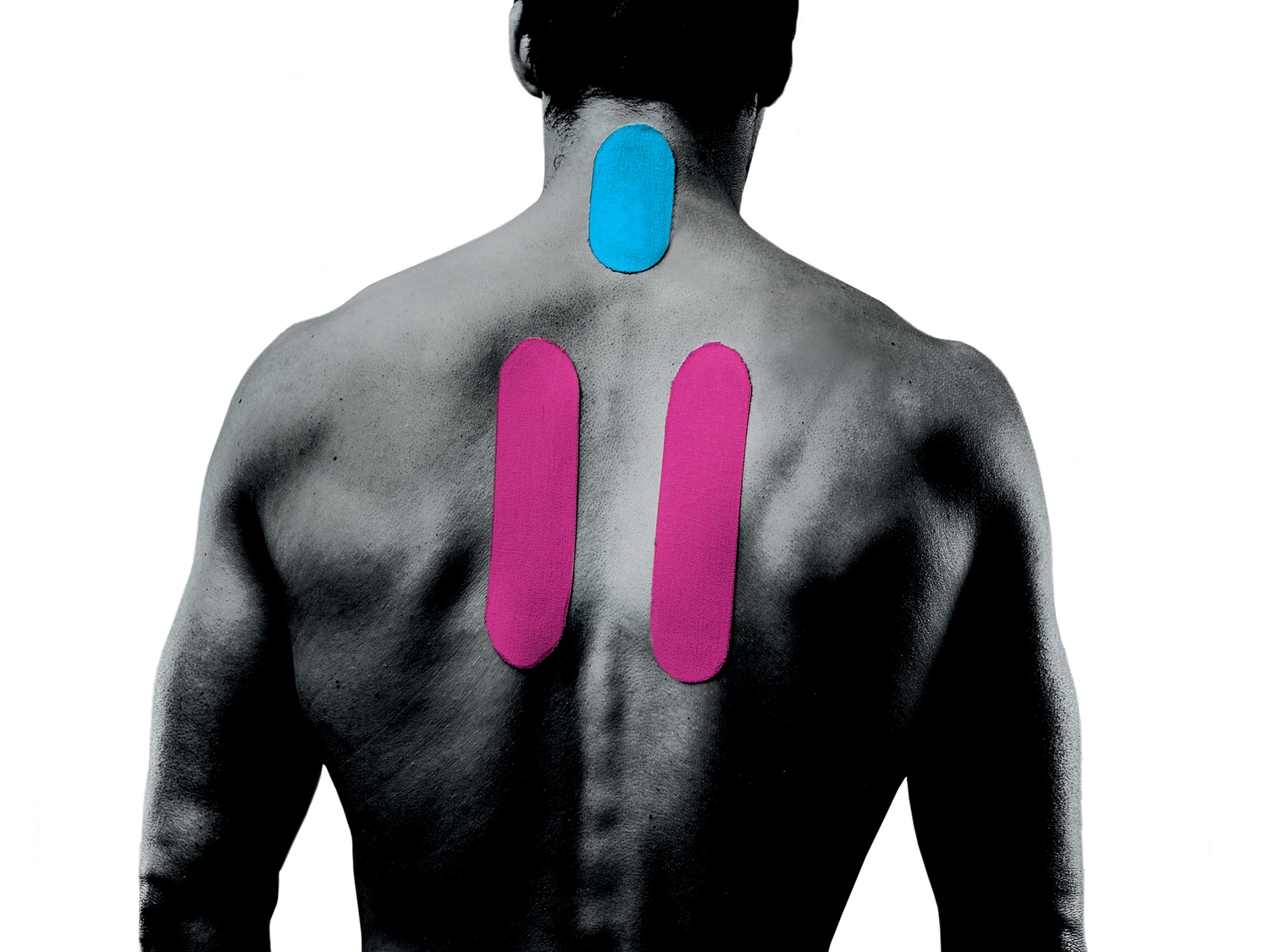 Nastro kinesiologico Sensiplast, prezzo 1.99 €
4, 6 o 8 pezzi
- Estensione ...
