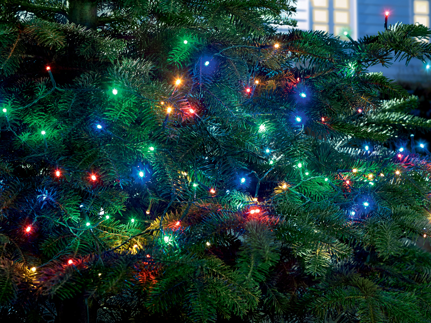 Catena luminosa LED Melinera, le prix 9.99 €
- Per ambienti interni ...
