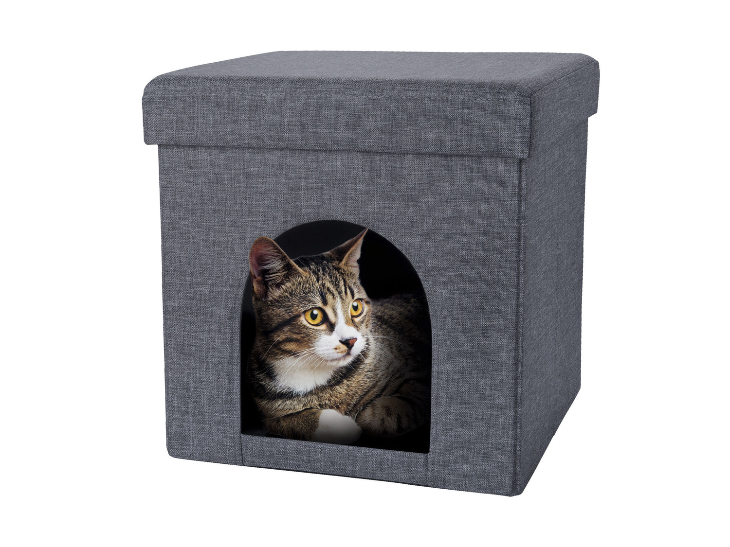 Pouf con cuccia per gatti Zoofari, prezzo 12.99 €
- 37,5 x 38 x 37,5 ...
