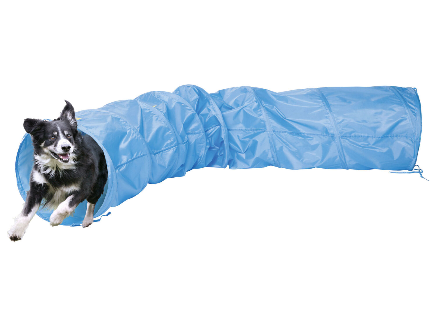 Attrezzi per agility Zoofari, prezzo 19.99 €
- Per un programma vario ...