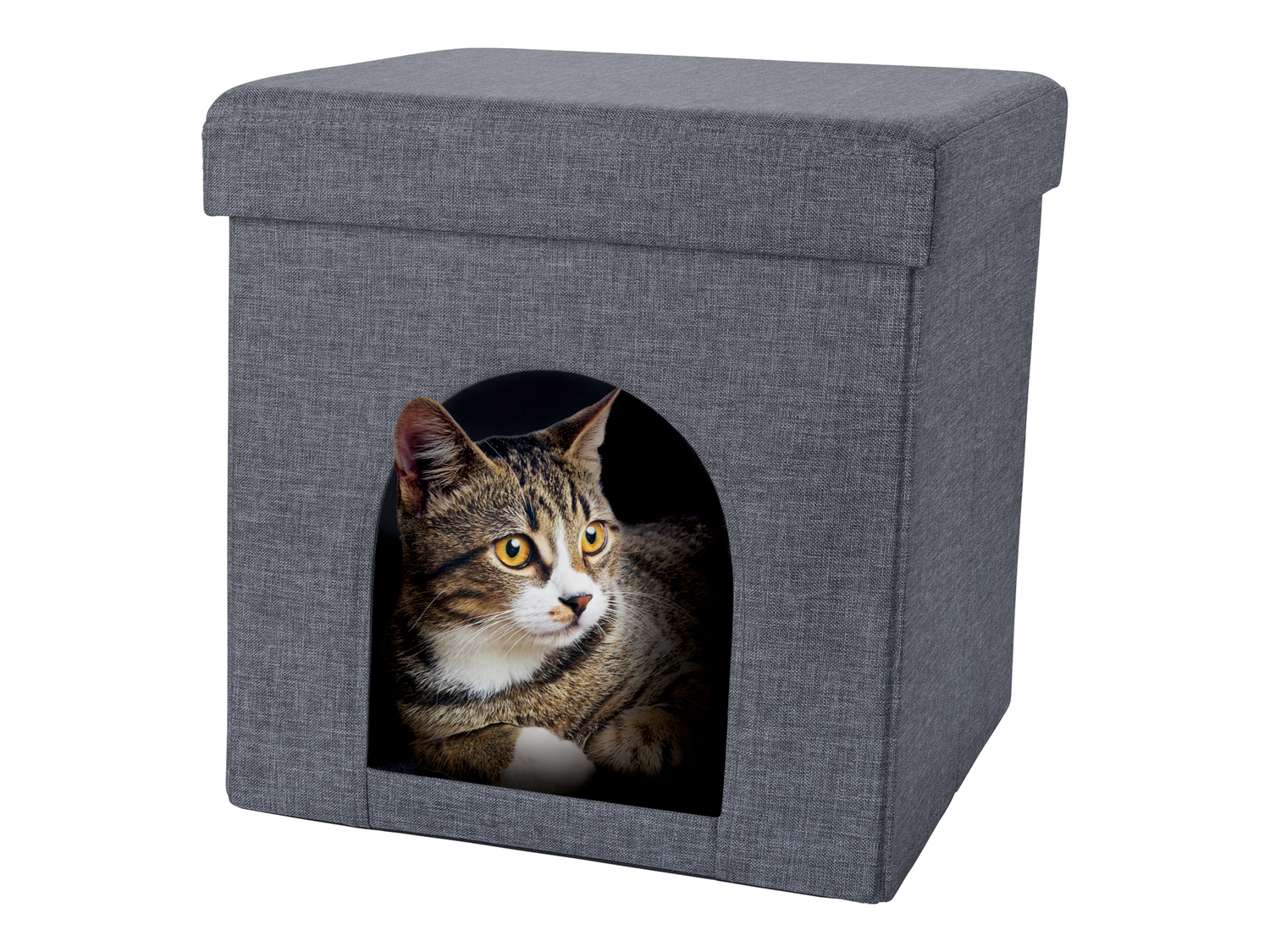 Pouf con cuccia per gatti Zoofari, prezzo 12.99 €
- 37,5 x 38 x 37,5 ...