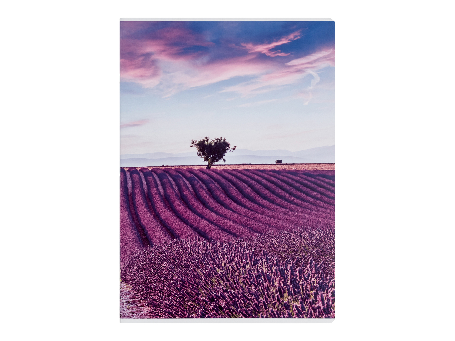 Quaderno A4 United Office, prezzo 0.79 €
Caratteristiche
- FSC no link