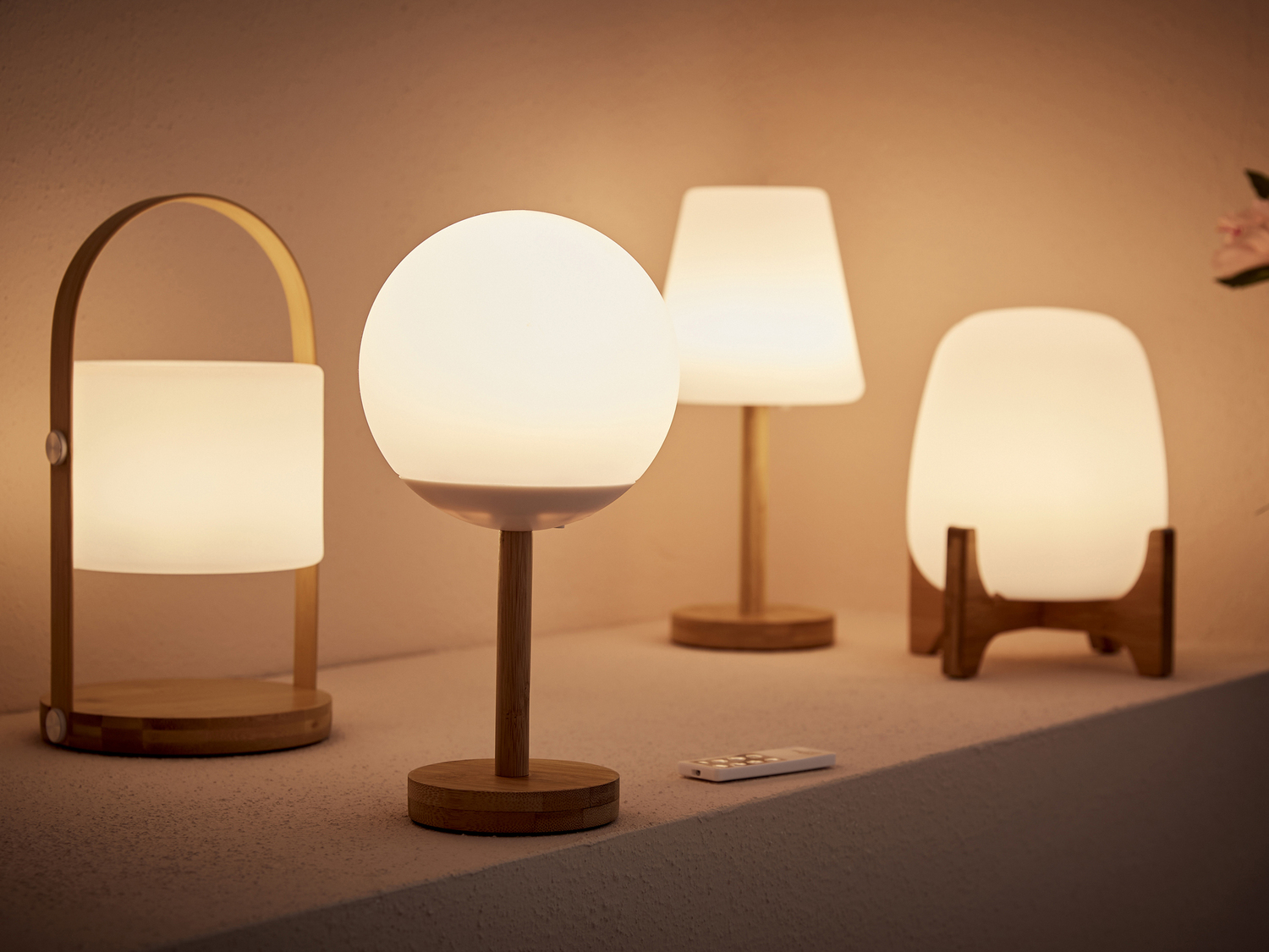 Lampada da tavolo per ambienti esterni Livarno, prezzo 17.99 €
- Senza ...