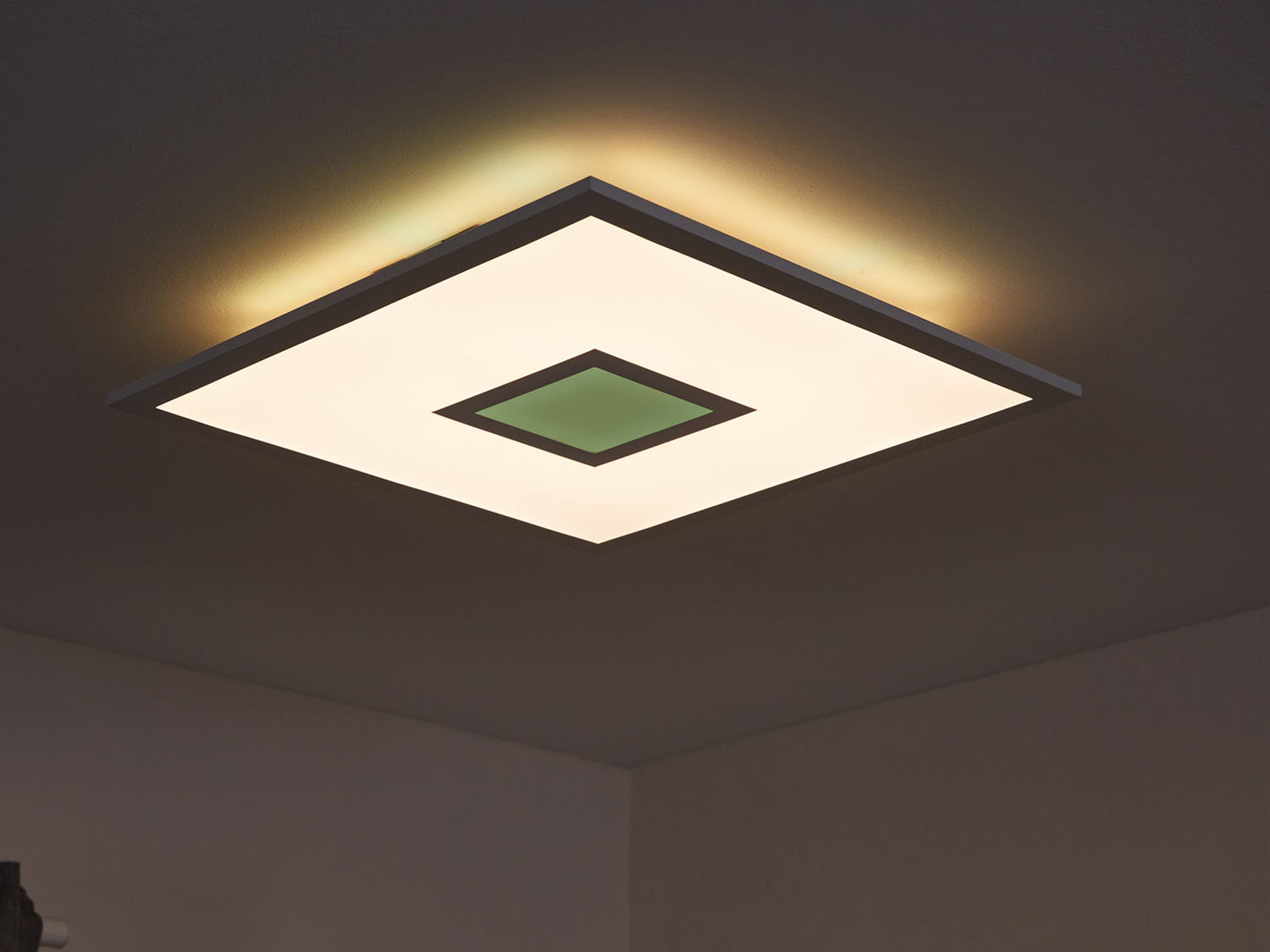 Pannello LED da soffitto Livarno, prezzo 39.99 €
- Lampada dimmerabile ...